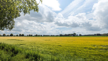 landbouwgrond