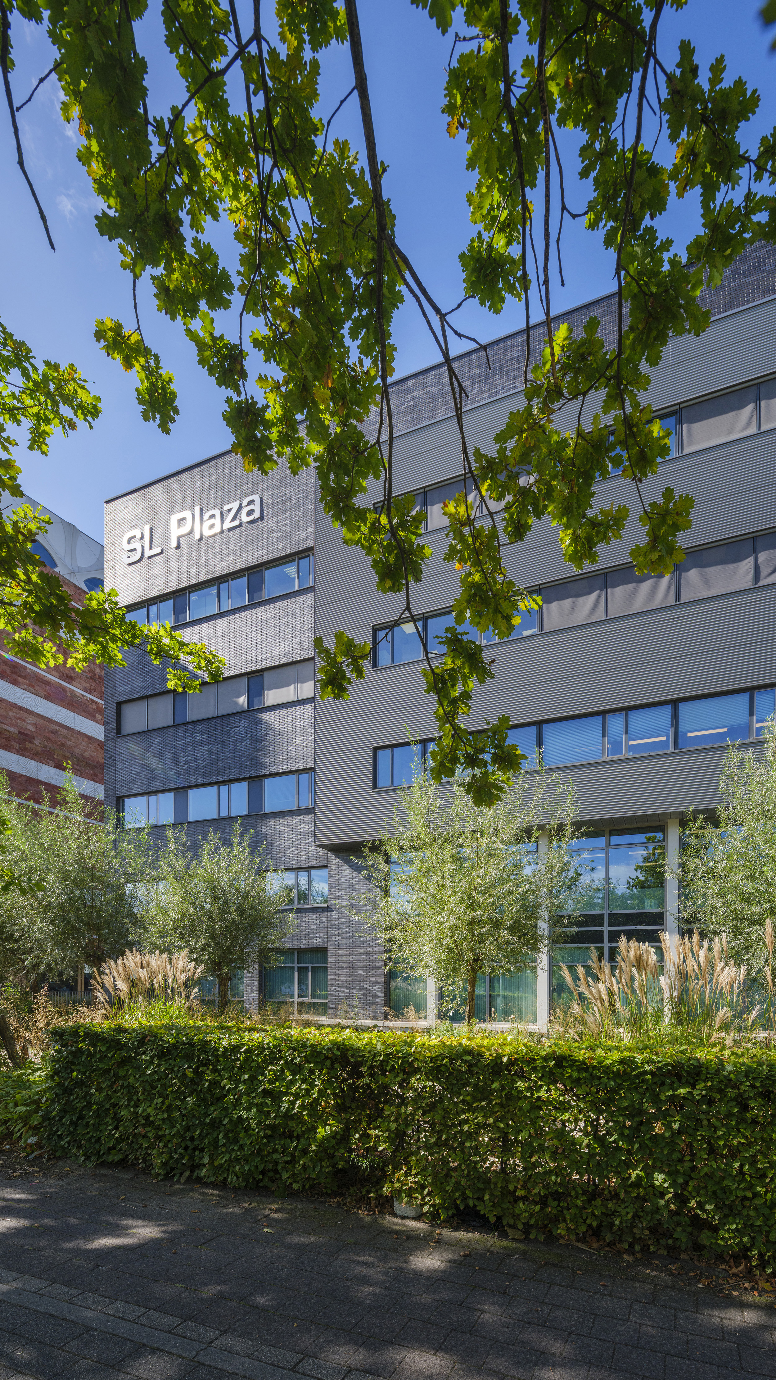 This slide displays ASR DSPF SL Plaza Foto Corné Bastiaansen 9946@.