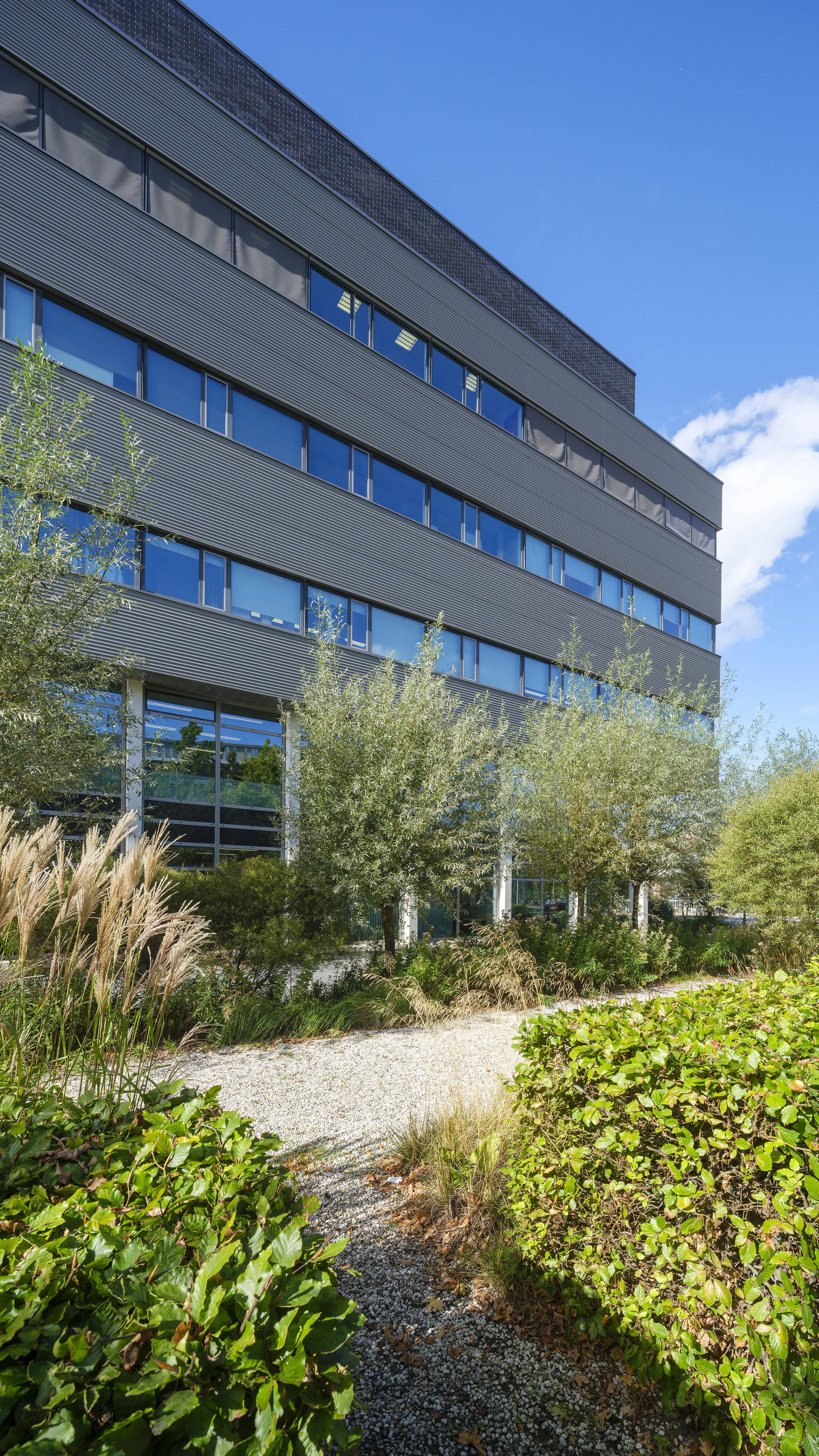 This slide displays ASR DSPF SL Plaza Foto Corné Bastiaansen 9947@.