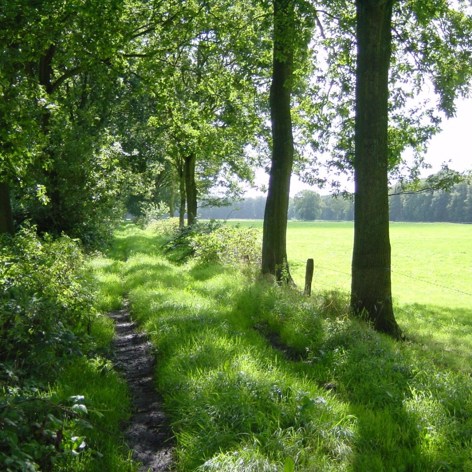 This slide displays Landgoed Engelenburg ASR.