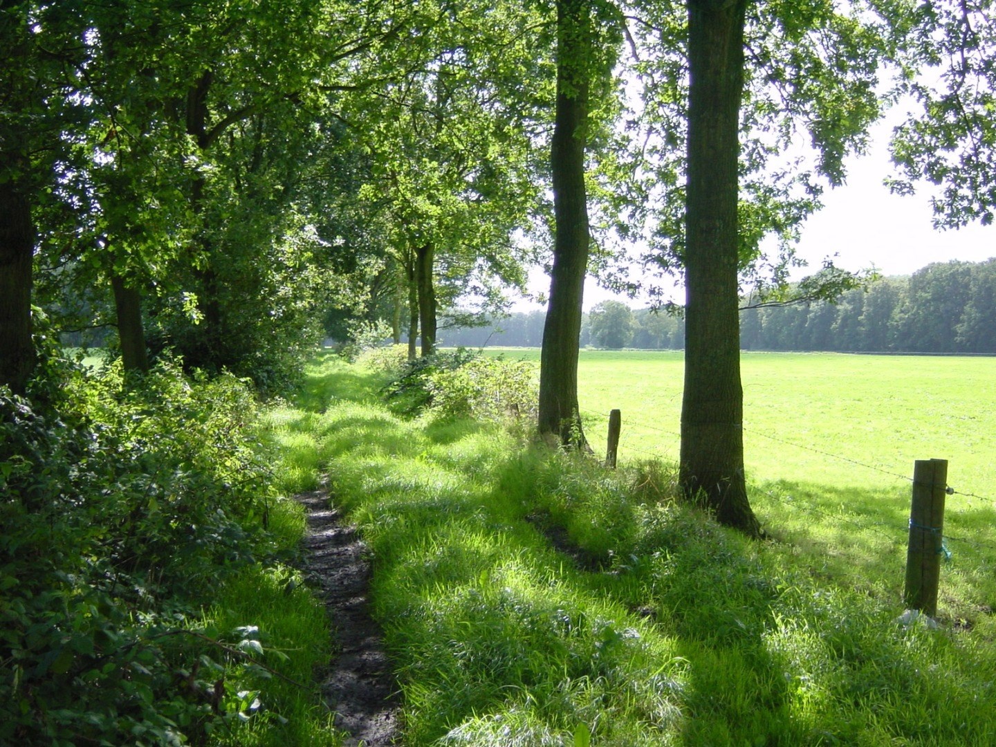 This slide displays Landgoed Engelenburg ASR.